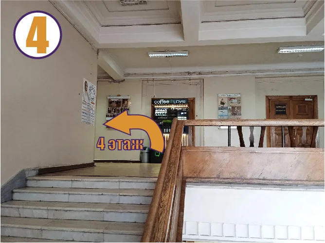 Фрактал, Петроградская