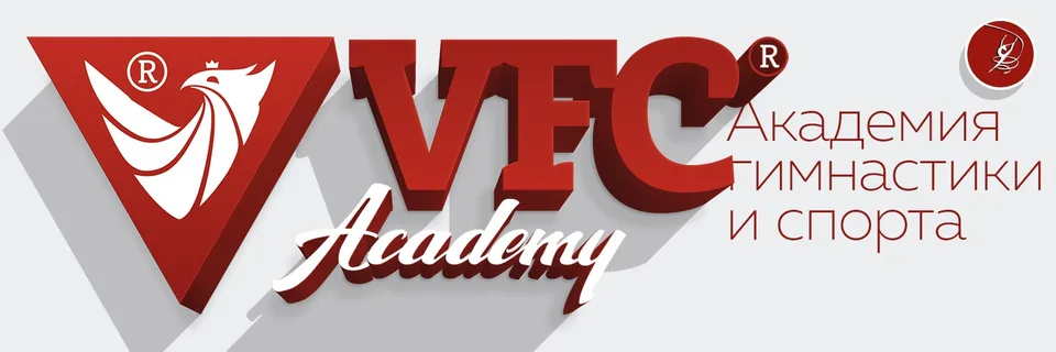 Академия гимнастики и спорта VFC