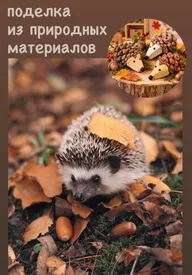 Афиша: Мастер-класс по созданию поделки из природных материалов