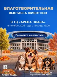 Афиша: Выставка-пристройство животных из приютов