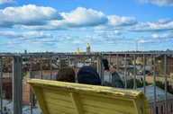 Афиша: Пространство «Крыша» и фестиваль кроликов