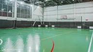 Академия Хаски