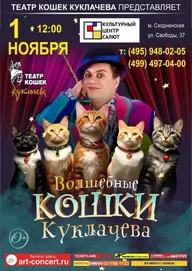 Афиша: Спектакль «Волшебные кошки»