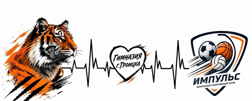 ШСК "Импульс" Гимназия г. Троицка, МАОУ "Гимназия г. Троицка"