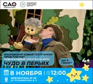 Афиша: Спектакль-игра «Чудо в перьях»
