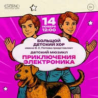 Афиша: Хоровой мюзикл «Приключения Электроника»