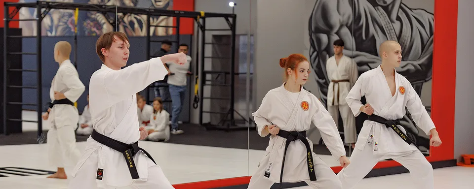 FIGHTLAND клуб единоборств и гимнастики Бутово, аллея Витте, 1
