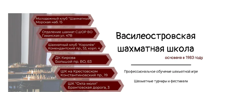Василеостровская шахматная школа / vochess