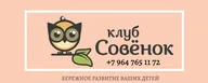 Детский центр развития "Клуб Совёнок"