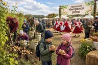 Афиша: V фестиваль «Праздник Ижорской репы»