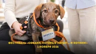 Афиша: Фестиваль «Собаки, которые любят... и котики!»