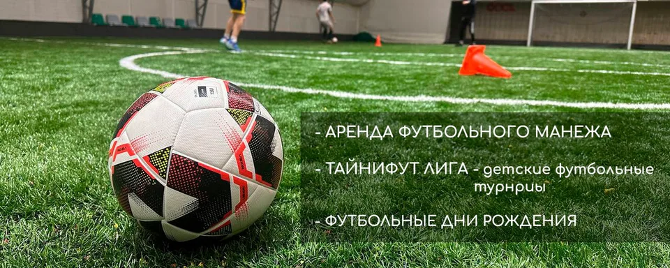 Тайнифут Лига