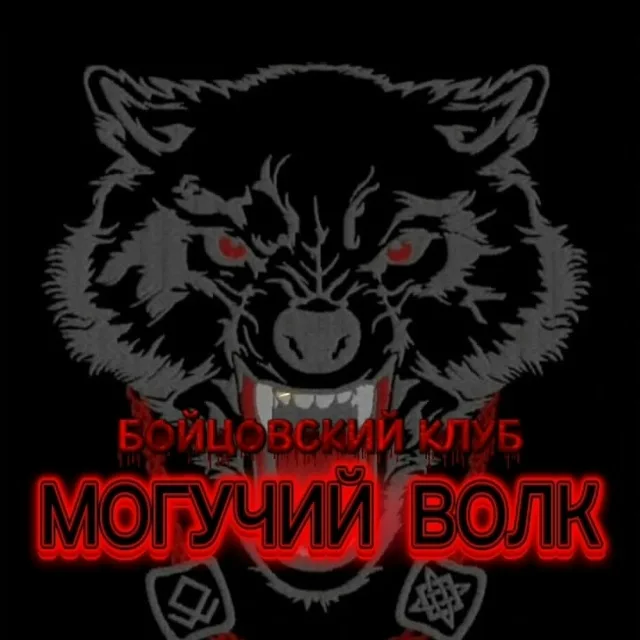 Бойцовский клуб "МОГУЧИЙ ВОЛК"