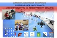 Афиша: Соревнования «Школьная лига гонок дронов Ломоносовского района»