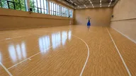 Академия Хаски