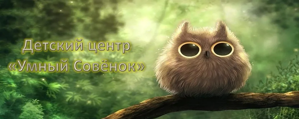 Детский центр "Умный совёнок"