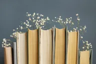 Афиша: Книгра