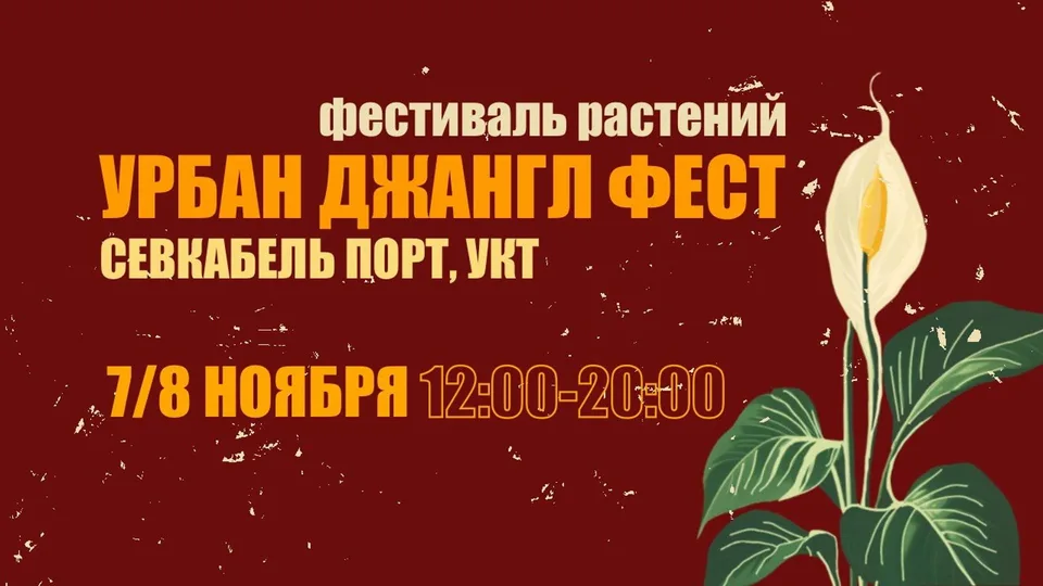 Фестиваль "УРБАН ДЖАНГЛ"