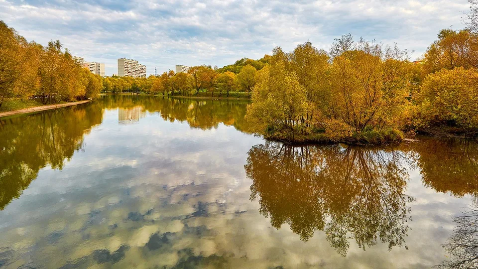 Московские экопрогулки. Природно-исторический парк "Битцевский лес- Экология рукотворных лесов"