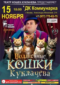 Афиша: Спектакль «Волшебные кошки»