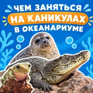 Афиша: Викторина ко Дню амфибий и рептилий