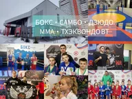 Академия единоборств