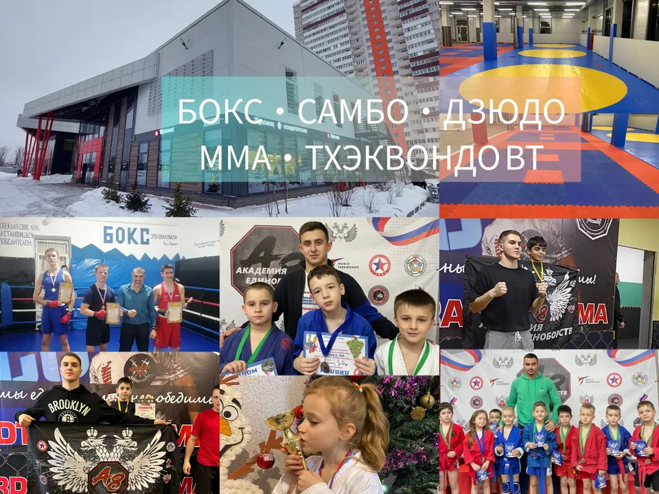 Академия единоборств