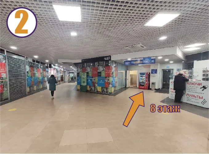 Фрактал, Международная
