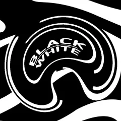 BLACK x WHITE BATTLE