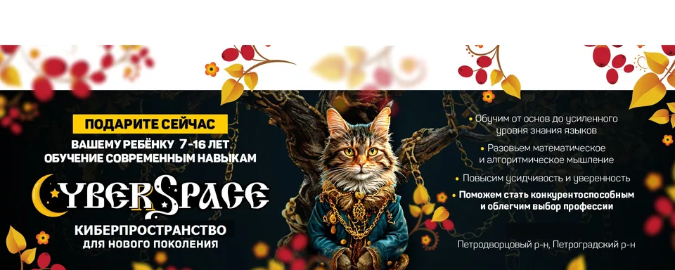 CYBER SPACE — КИБЕРПРОСТРАНСТВО, Школа Петергоф