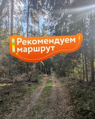 Афиша: Детский поход с английским языком