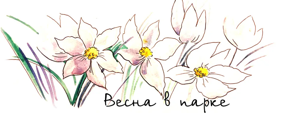 Парк «Бабушкинский»