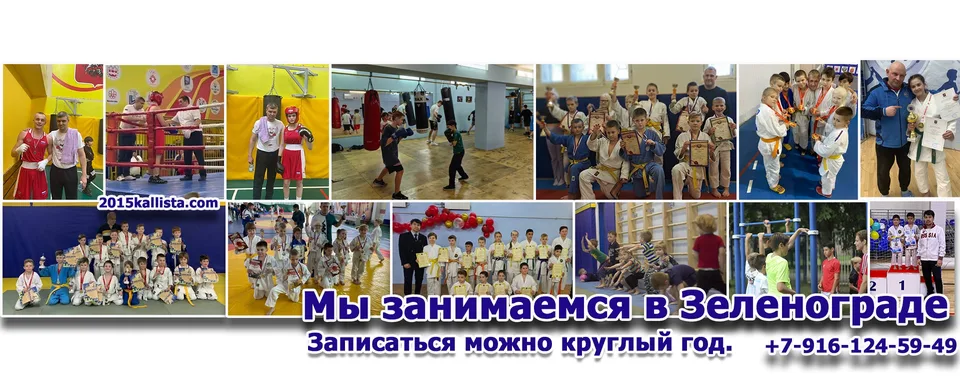 Единоборства в Зеленограде. Дзюдо.Бокс.Каратэ., Зеленоград. Центр единоборств Каллиста