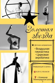 «Золотая звезда» Пушкин, Павловск, Студия GoldenStar в Коммунаре