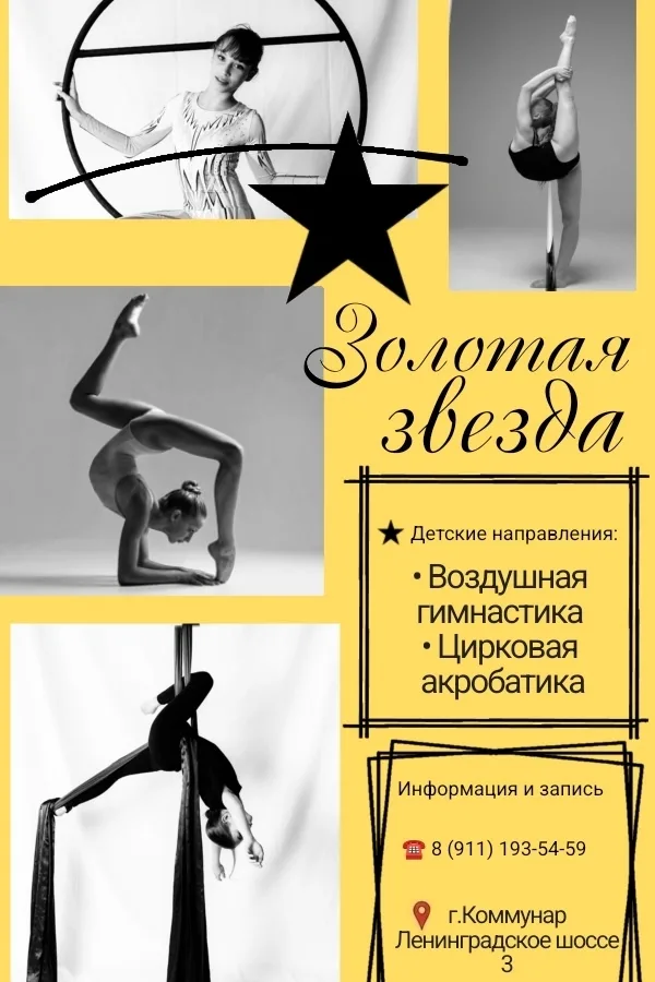 «Золотая звезда» Пушкин, Павловск, Студия GoldenStar в Коммунаре