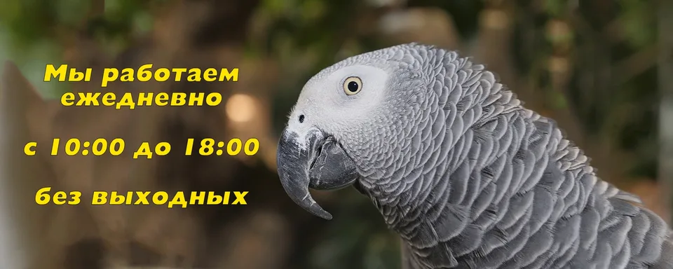 «Элафион» зоопарк-приют, Зоопарк Элафион