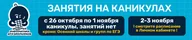 АИШ-Полюстрово