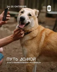 Афиша: Фестиваль «Путь домой»