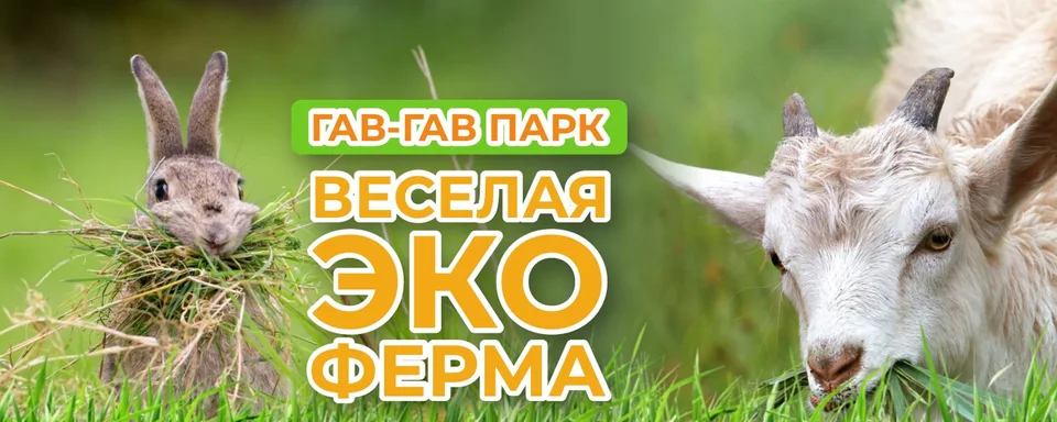 Веселая Эко-Ферма и "Гав-Гав" Парк