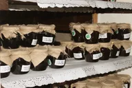Здесь зародилась Русь: Старая Ладога и Александро-Свирский монастырь
