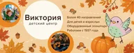 Детский центр "ВИКТОРИЯ"