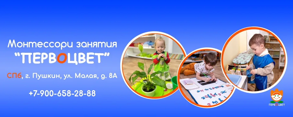 Детский центр в Пушкине · Первоцвет