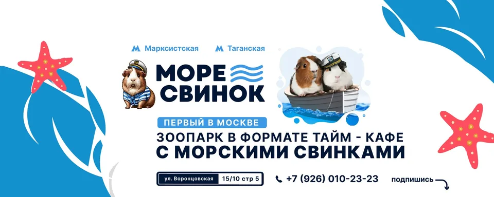 Моресвинок - зоопарк с морскими свинками