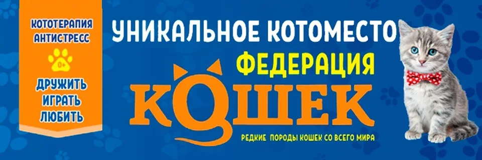 "Федерация кошек", ТРЦ «Реутов Парк»