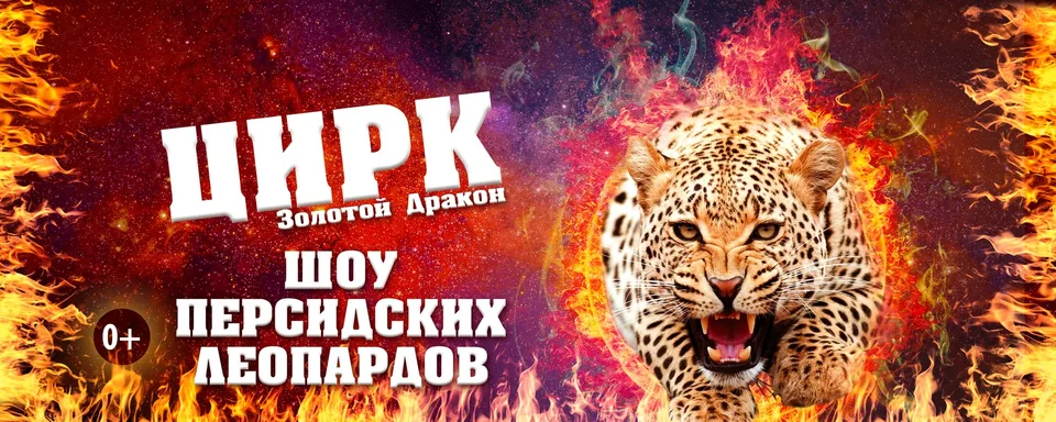 Цирк «Золотой Дракон» Питер / ТРК ЛЕТО