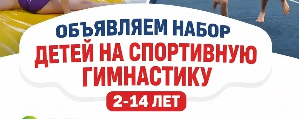 Академия спортивной гимнастики "Динамика"