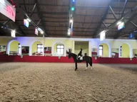 Погружение в мир лошадей и пони