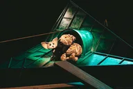 Афиша: Котёнок по имени Гав