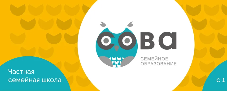 Образовательный центр СОВА, Школа СОВА