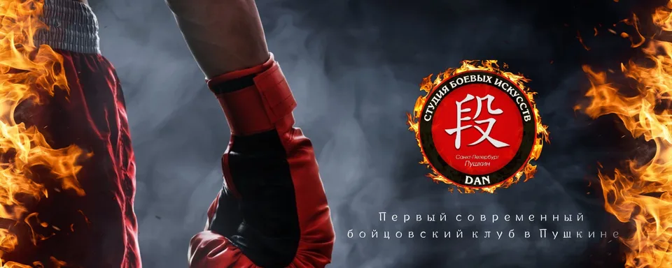 Студия боевых искусств ДАН